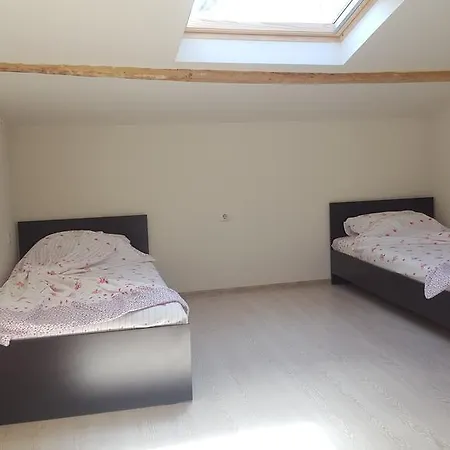 General Gurko Apartment *